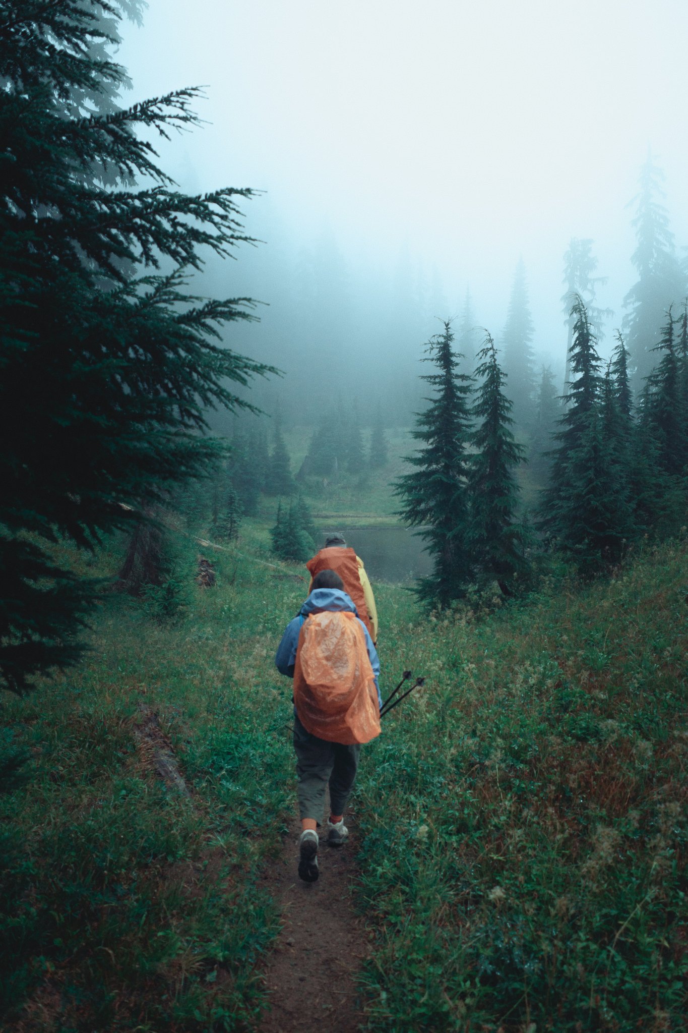 Zwei Wanderer mit Rucksäcken gehen durch einen nebligen Wald